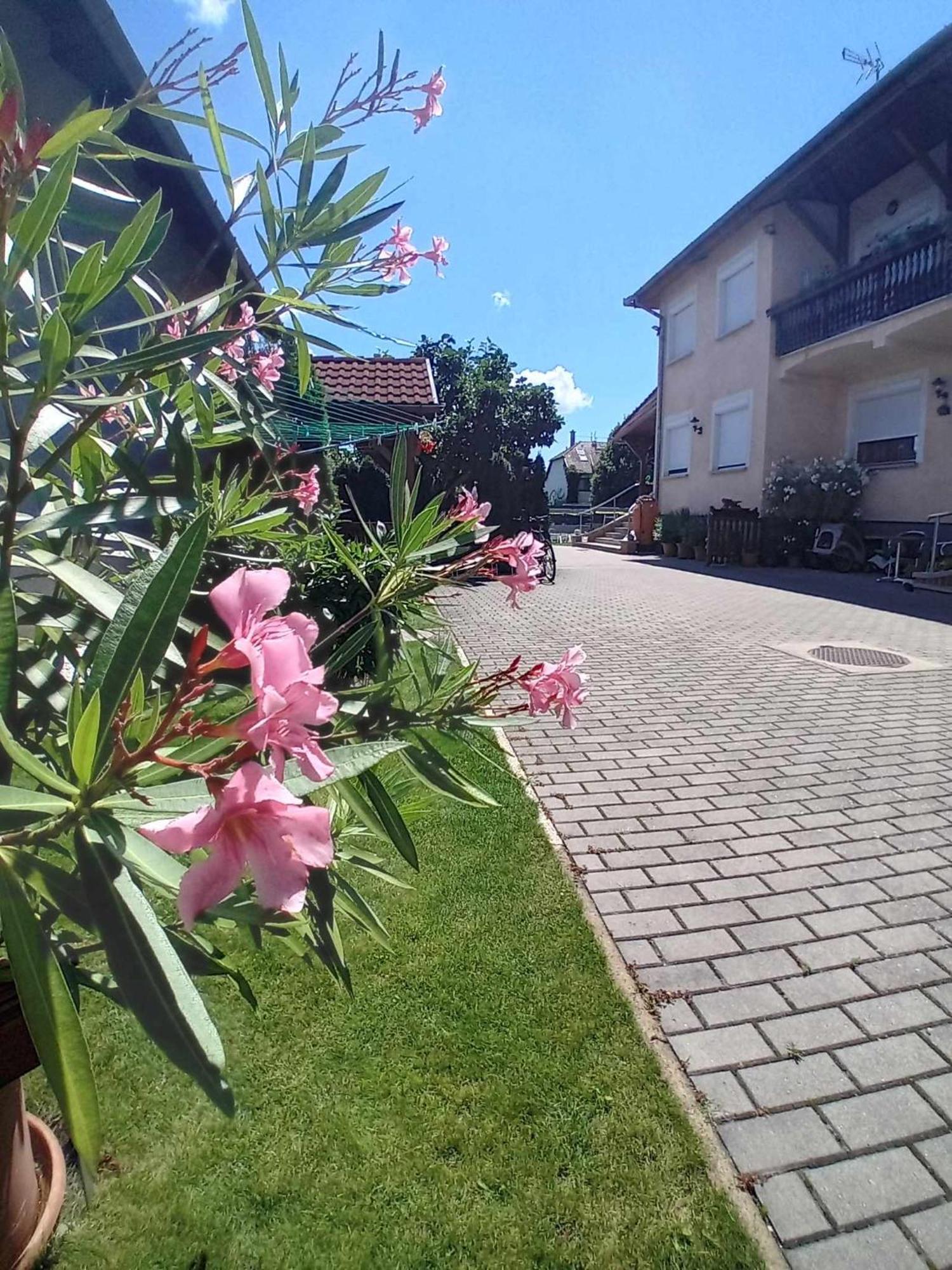 Acs Apartman Hévíz Kültér fotó